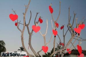 800px-valentinesdaytree.jpg