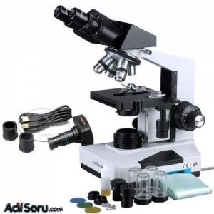 mikroskop.jpg