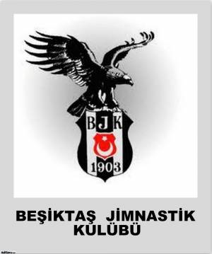 besiktas-9.jpg