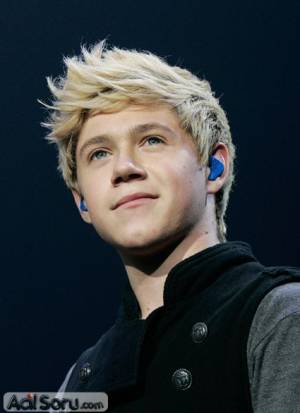 niall-james-horan-1.jpg