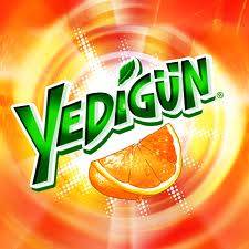 yedigun-logo.jpg