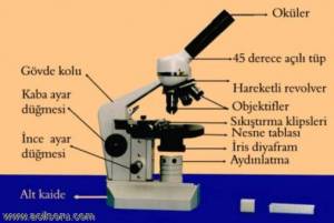 mikroskopresim.gif