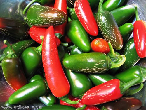 Jalapeno nedir ?