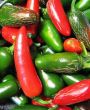 Jalapeno nedir ?